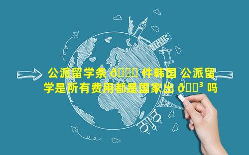 公派留学条 🐋 件韩国 公派留学是所有费用都是国家出 🐳 吗